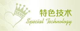 权威技术